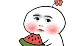 娱乐吃瓜酱我是玫瑰,玫瑰的璀璨星光